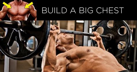 How To Build A Bigger Chest Training