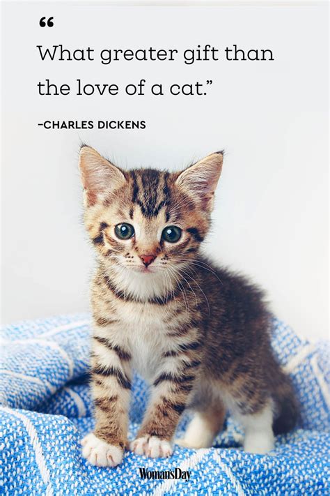 Cute Cat Images With Love Quotes Cute Quotes About Cats Quotesgram