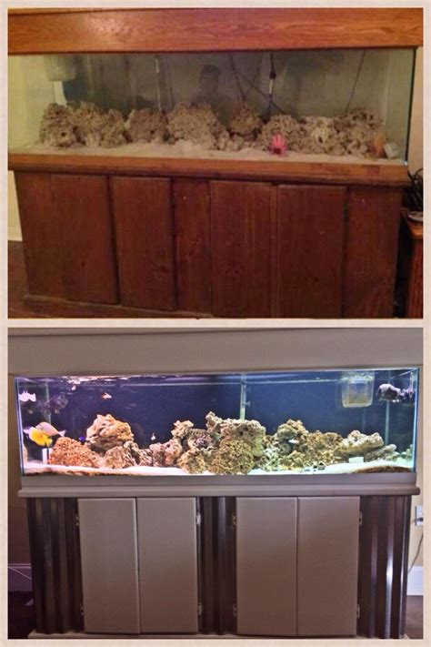 Craigslist saltwater tank remodel | Fish tank, Saltwater tank, Saltwater