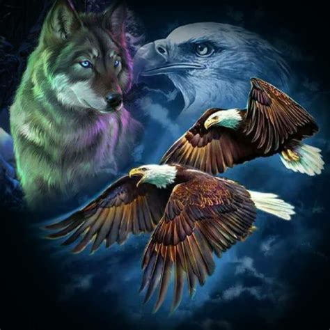 Wolf And Eagle Wolf Spirit Animal Beautiful Wolves Wolf Pictures