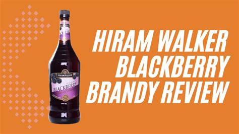 Hiram Walker Blackberry Brandy Reviews An In Depth Look