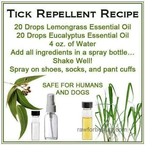 Tick Repellent Tick Repellent Essential Oils For Fleas Dog Spray