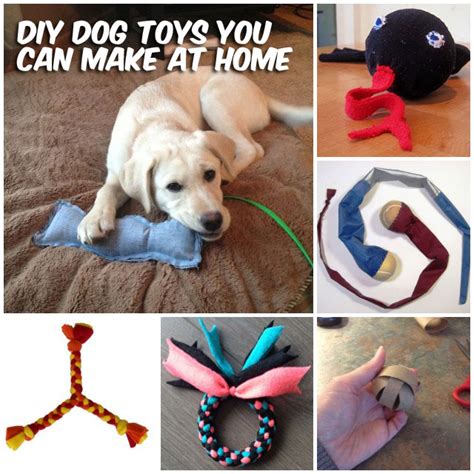 How To Make A Dog Chew Toy Homemade Dog And Pineapple How To Make
