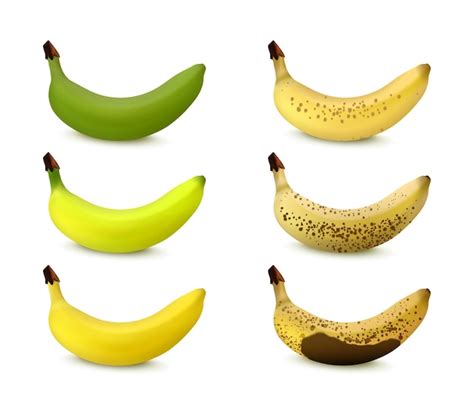Free Vector Banana Ripening Stages From Green To Ripe And Darkened