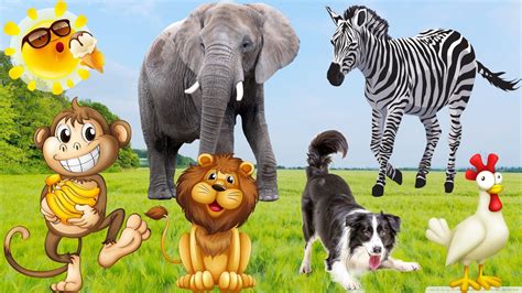 Learn To Love Animals Learn Animal Sounds Dog Cat Horse Elephant