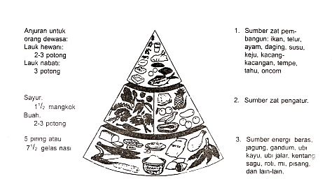 Aras 1 piramid makanan mengandungi kumpulan makanan yang kaya dengan karbohidrat kompleks, yang merupakan sumber tenaga yang utama. Setitik Cahaya: Pedoman Umum Gizi Seimbang (PUGS)