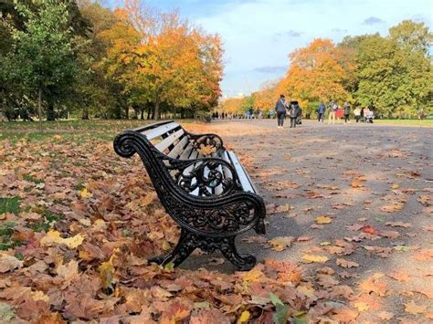 Fall Foliage London Best Places To See Autumn Colours In London