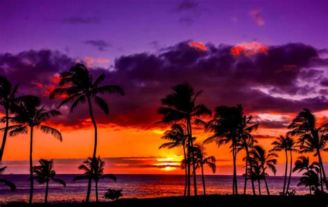 Hawaiian Sunset Background