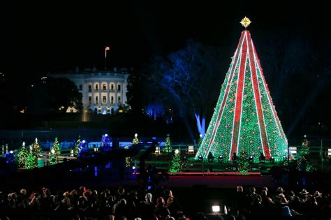Man Climbs National Christmas Tree Near White House Lawn
