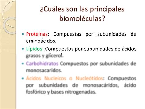 Solution Introducci N A Las Biomol Culas Biogen Tica Autoguardado