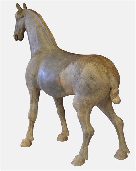 ancient chinese horse tang dynasty  stdibs