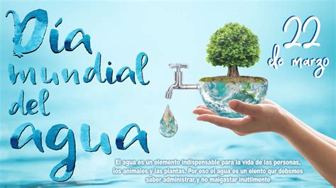 Resultado De Imagen Para Dia Del Agua En Colombia Cuidado Del Agua Dia