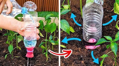 35 genius gardening hacks for beginners youtube