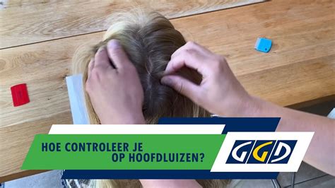 Hoe controleer je op hoofdluizen -