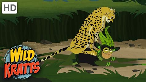 Wild Kratts | Cheetah Racer | Full Episode | Season 1 - YouTube