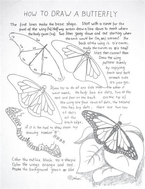 How To Draw Worksheets For The Young Artist How To Draw A Monarch