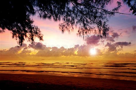 Sunrise At Seapine Beach Stock Image Image Of Glare 65005605