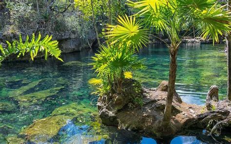 Top 135 Recursos Naturales De Mexico Imagenes Destinomexico Mx