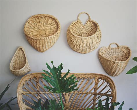 20 Wall Baskets For Plants
