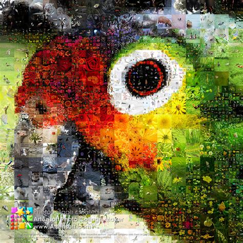 Du kannst die bilder frei anordnen, skalieren und drehen. Artensoft Photo Collage Maker: Welches Master-Bild eignet ...