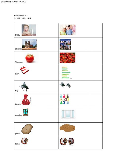 The Plural Of Nouns Interactive And Downloadable Worksheet You Can Do The Exercises Online Or