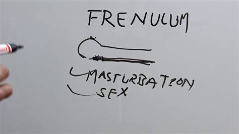 Penile Frenulum How To Break Frenulum Near Penis Shaft And Head Explained In Hindi Youtube