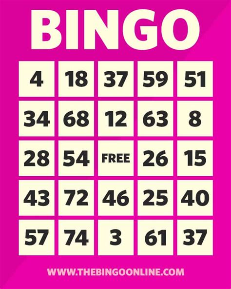 How To Play Bingo The Complete Guide To Play Bingo Games Online