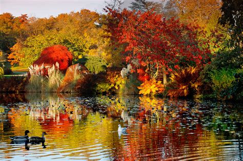 The beautiful autumn changes at Wakehurst | Kew