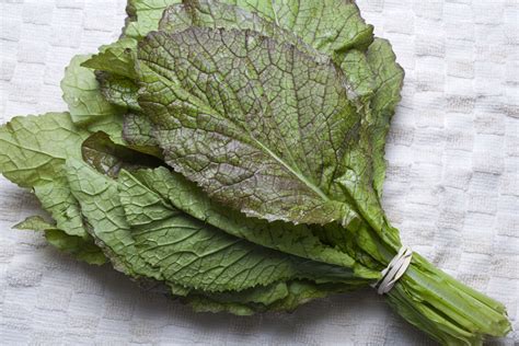 Health Benefits And Nutrition Facts For Mustard Greens
