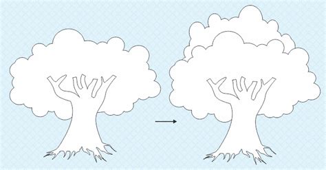 Membuat Sketsa Gambar Pohon Beringin Untuk Diwarnai Siswapedia