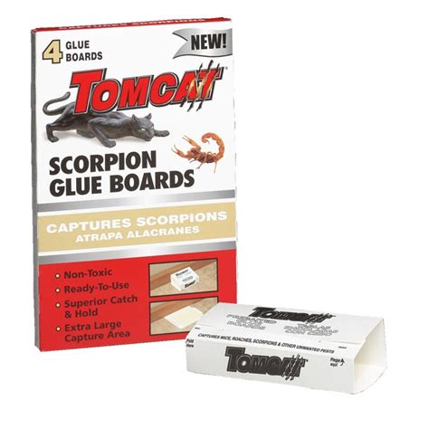 Companies for pest control near me use safe strategies: TOMCAT Scorpion Glue Trap in the Insect Traps & Repellents ...