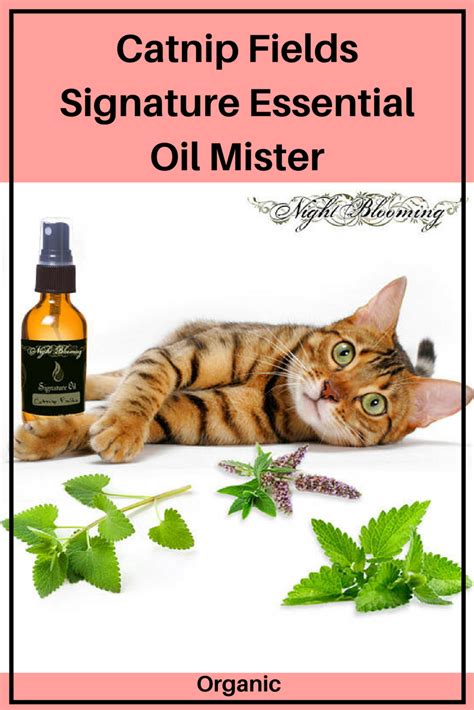 Native americans adopted this herb in their medicines and recipes when they while cats seem to go crazy upon sniffing this herb, humans seem to react exactly the opposite. Catnip Fields Signature Essential Oil Mister is a cat-safe ...