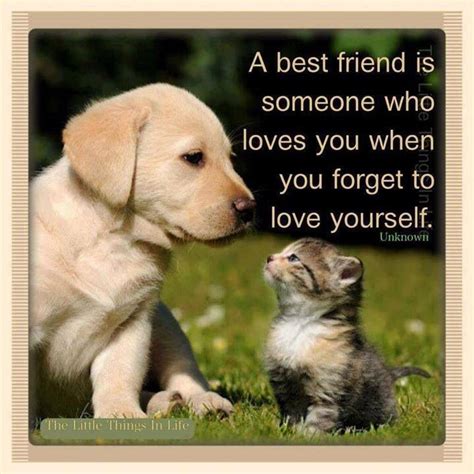 Cute Dog Best Friend Quotes Quotesta
