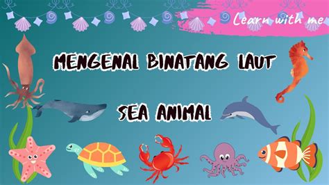 Mengenal Binatang Laut Sea Animals Youtube