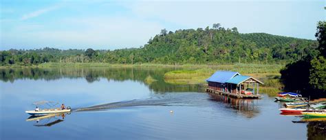 Beli 20sachet auto dapat 1 papan. Tasik Chini, Tasik Semula Jadi Kedua Terbesar Malaysia ...