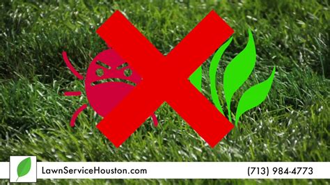 Lawn service, mulch installation, leaf pickup, bed. Lawn Service Houston - Commercial Lawn Care and ...