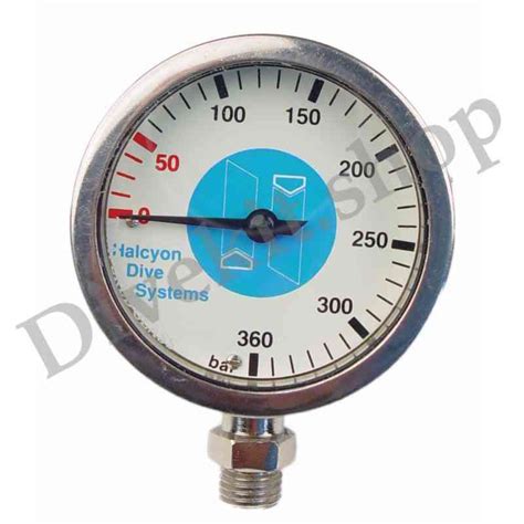 Master Submersible Pressure Gauge Mm Bar Divekit Webshop