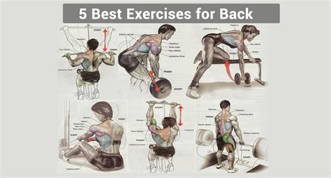 5 Best Exercises For Back