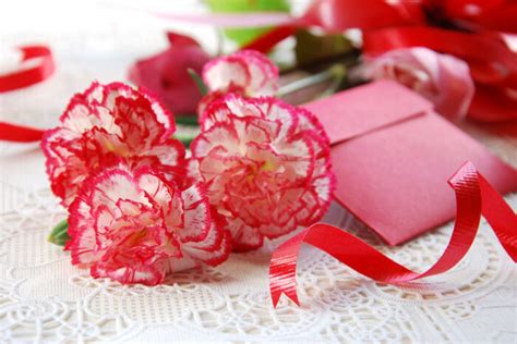 Due to its wild nature, the flower specifically symbolizes relaxation and serves as a reminder to enjoy the moment in order to take in opportunities at the right time. Carnation Flower Meaning - Flower Meaning