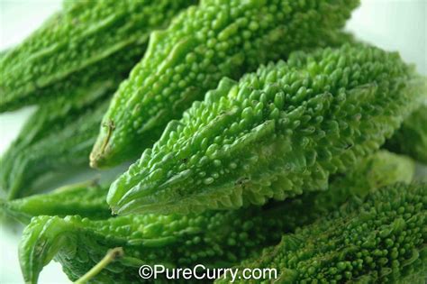 Eating cactus has also helped to improve the digestion process in humans. Bitter Gourd (Karela) - PURE CURRY