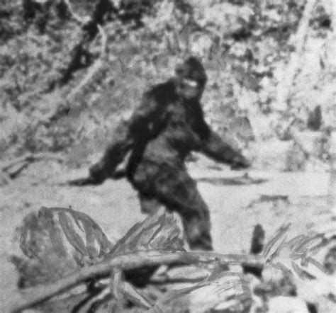 Shots Fired After Alleged Bigfoot Encounter In Mammoth Cave