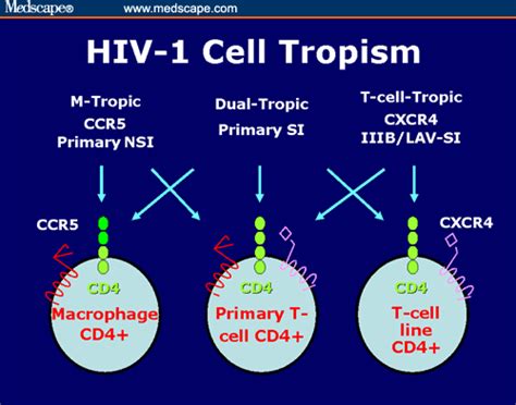Maraviroc binds deep in the receptor pocket and locks the. ARV Resistance and Implications for Clinical Management of ...