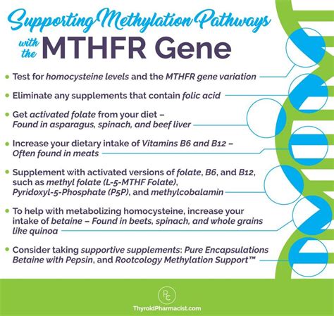 Mthfr Hashimotos And Nutrients Dr Izabella Wentz Mthfr Mthfr