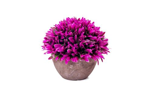 Jika diamati dengan baik, pasti anda tahu bahwa tak semua hiasan mulailah melilitkannya dari bagian atas kelopak bingga bagian ujung batang. Jual Mendarik Pink | Vas Pot Bunga Tanaman Artifisial ...