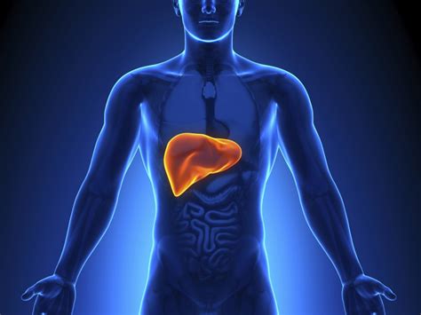 10 Signs Of A Sick Liver Informationng