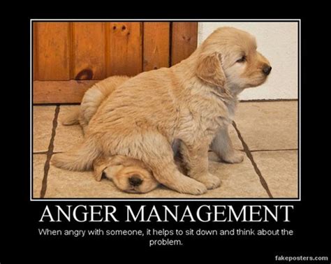 Funny Quotes Anger Management Quotesgram