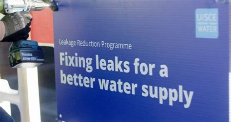 Laois Nationalist Laois Councillors Will Try To Flush Out Irish Water