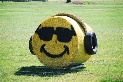 Hobson To Utica Is Known As The Montana Hay Bale Trail Every Year For