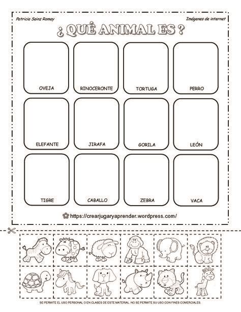 8 Mejores Imágenes De Actividad De Clasificación De Animales