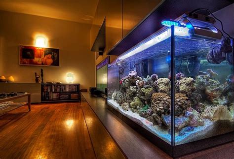 Reef Aquariums For Your Inspiration